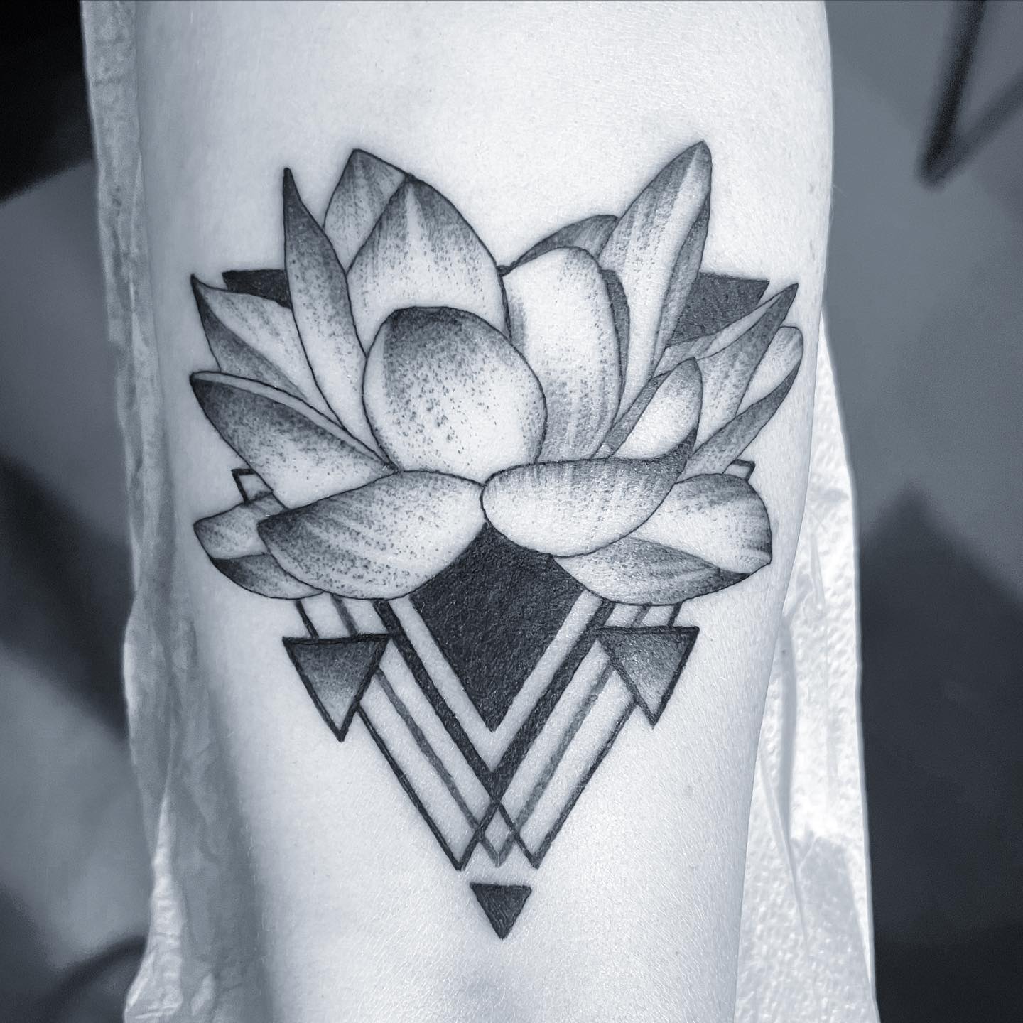 Amazing Geometric Wrist Lotus Tattoo, New Flower Tattoos ... | Tatuaje de  triangulo, Diseño de tatuaje de loto, Diseños de tatuaje de flores